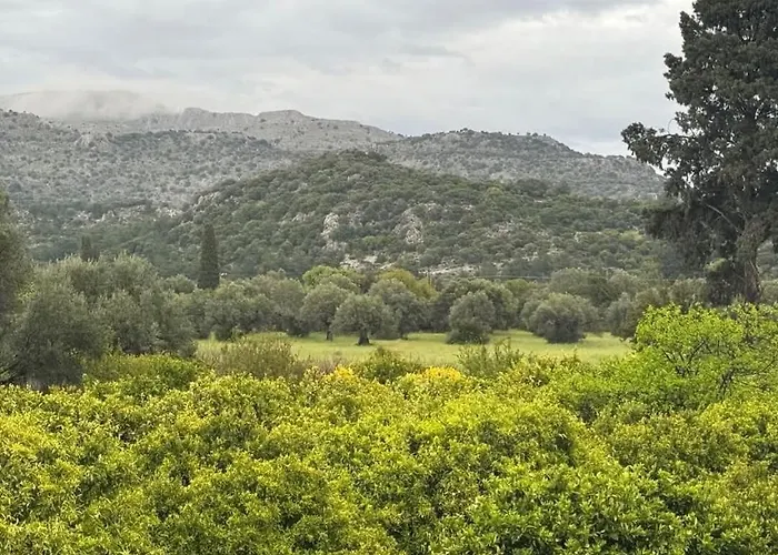 Flora's Traditional House *