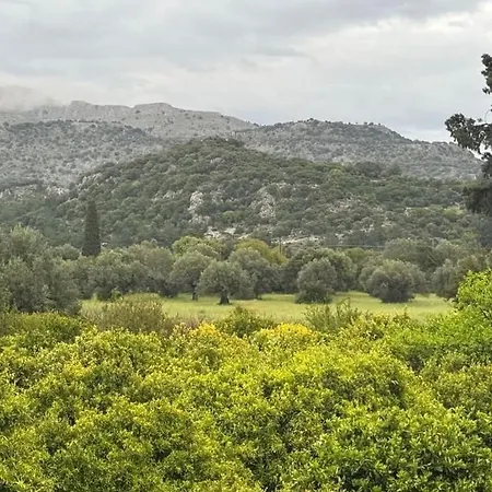 Flora's Traditional House *